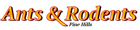 Pine Hills Ant Exterminator & Rodent Control Company Logo